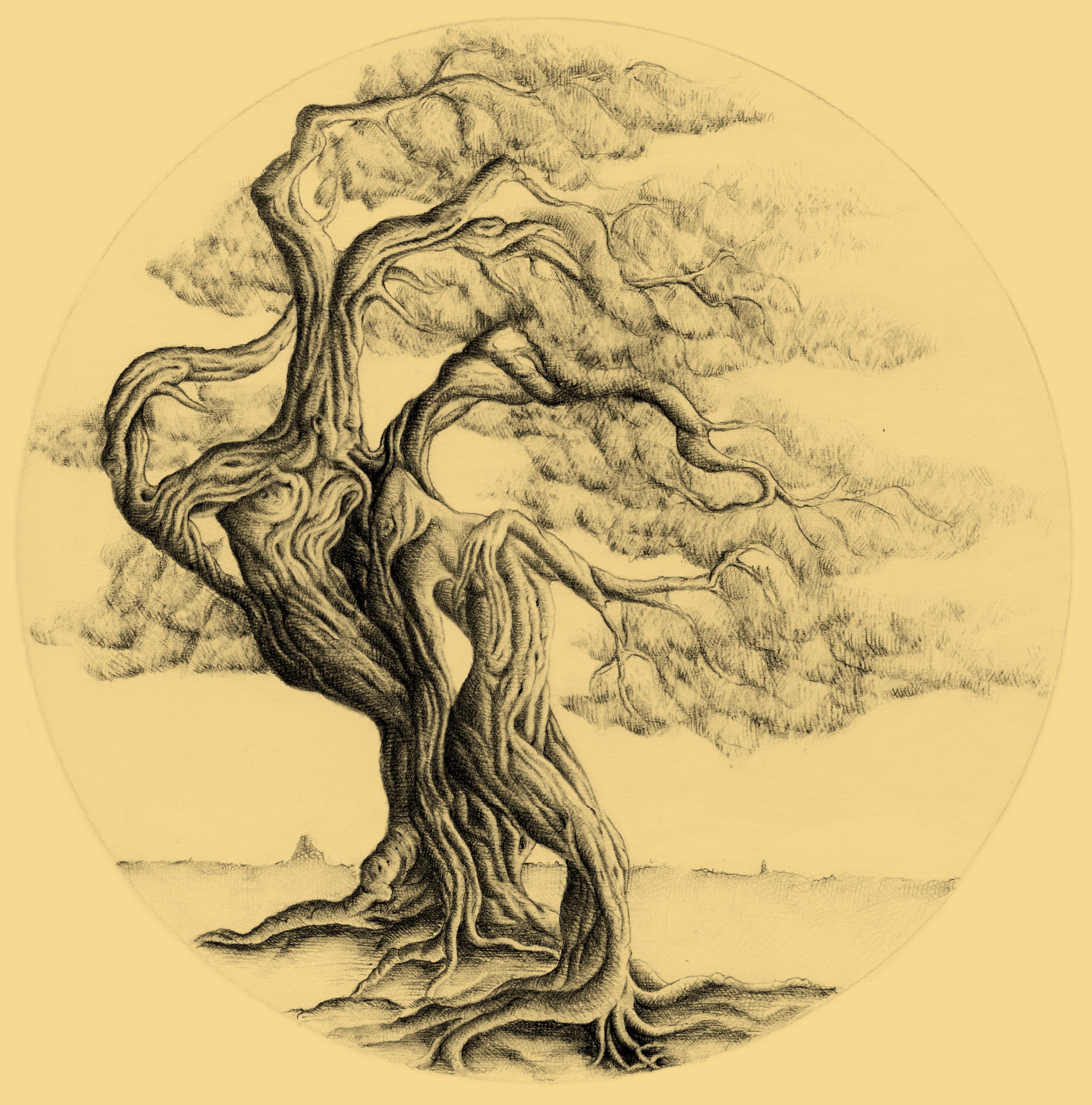 Graphite study of a tree